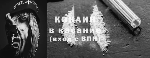 Альфа ПВП Бородино