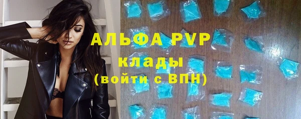 гашиш Богданович