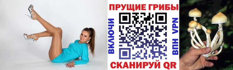 Галлюциногенные грибы Magic Shrooms  продажа наркотиков  Десногорск 